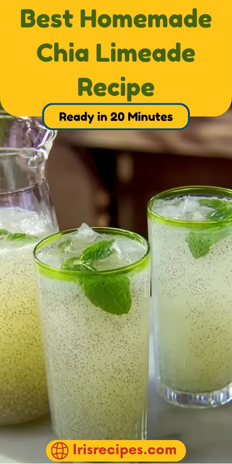 Best Homemade Chia Limeade Recipe - Ready in 20 Minutes