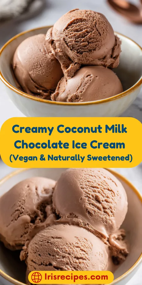 Creamy Coconut Milk Chocolate Ice Cream
