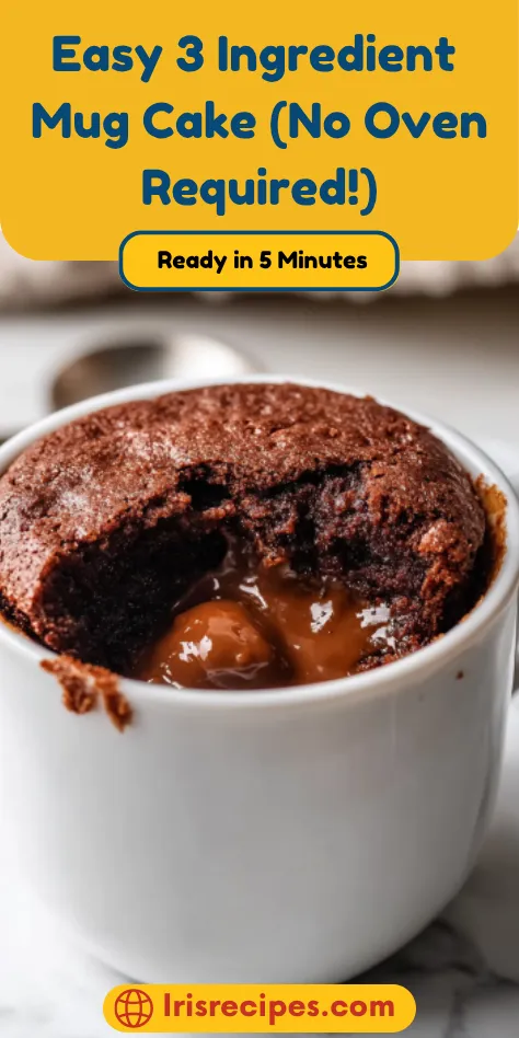 Easy 3 Ingredient Mug Cake (No Oven Required)
