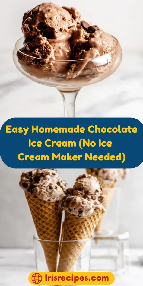 Easy Homemade Chocolate Ice Cream