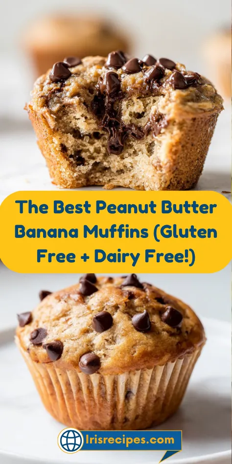 The Best Peanut Butter Banana Muffins (Gluten Free + Dairy Free!)
